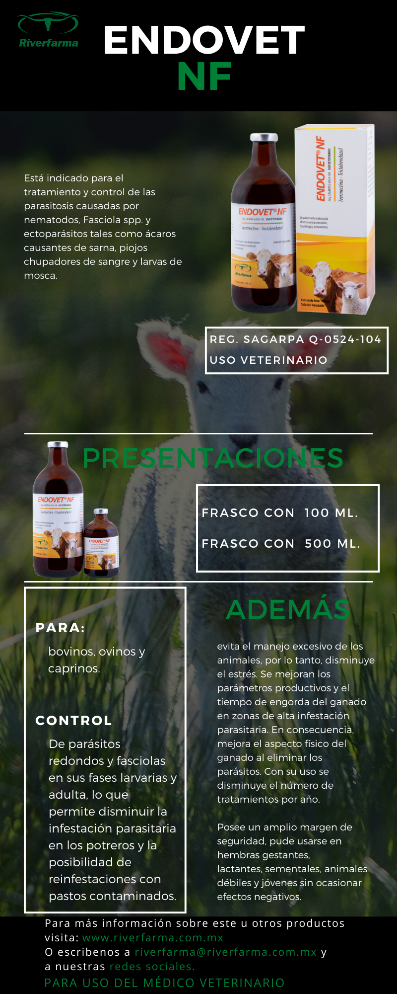 Endovet NF